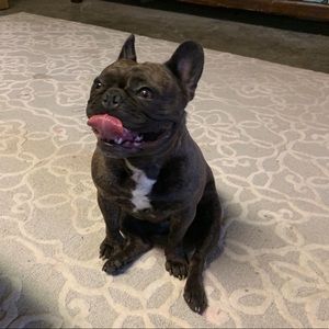 Meet your Posher, David